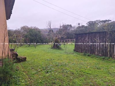 Fazenda, 14 hectares - Foto 5