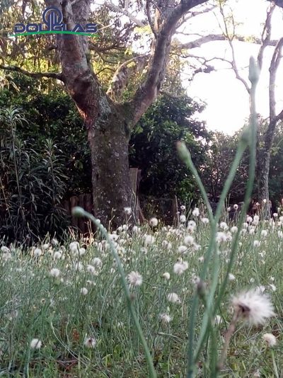 Terreno, 360 m² - Foto 1