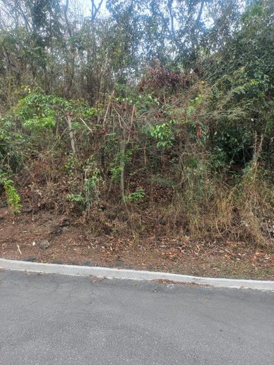 Terreno, 2800 m² - Foto 2