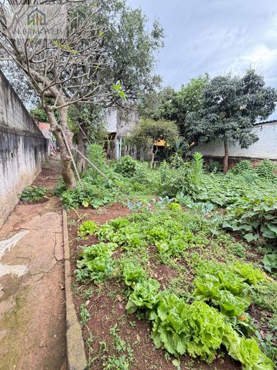 Terreno, 480 m² - Foto 3