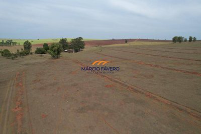 Fazenda, 311 hectares - Foto 5