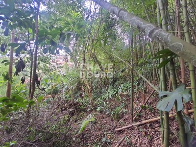 Terreno, 450 m² - Foto 5