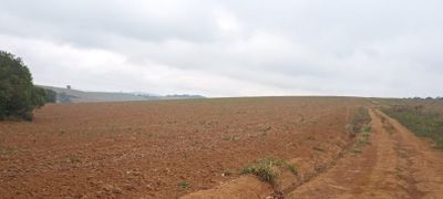 Fazenda, 339 hectares - Foto 1