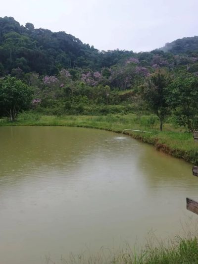 Casa, 140000 m² - Foto 3