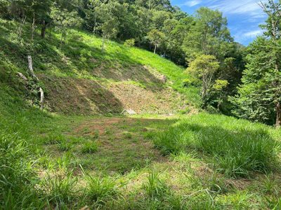 Terreno, 3000 m² - Foto 5