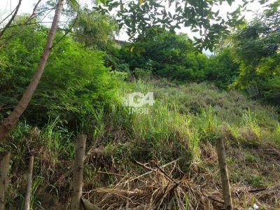 Terreno, 900 m² - Foto 5