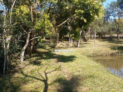 Chácara, 2 quartos, 2500 m² - Foto 5