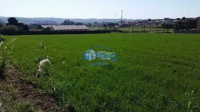 Terreno, 3 hectares - Foto 4