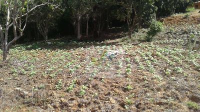 Terreno, 7200 m² - Foto 1