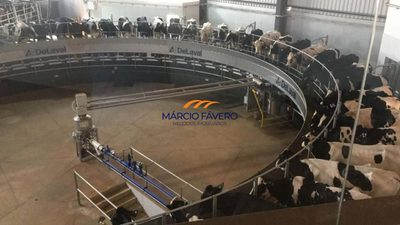 Fazenda, 532 hectares - Foto 1