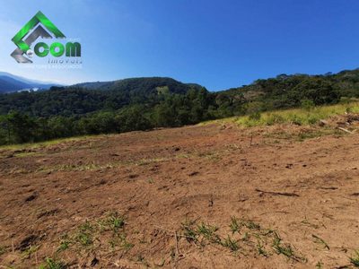 Terreno, 1 hectares - Foto 4