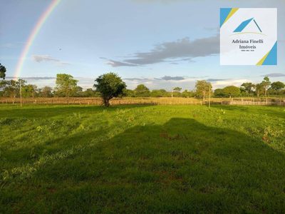Fazenda, 138 hectares - Foto 1