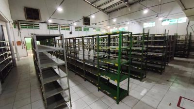 Depósito-Galpão, 4000 m² - Foto 2