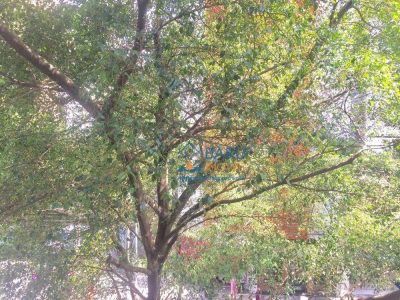Apartamento, 2 quartos, 104 m² - Foto 4