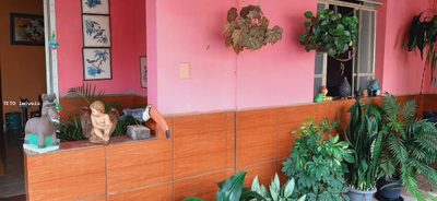 Casa, 4 quartos - Foto 4