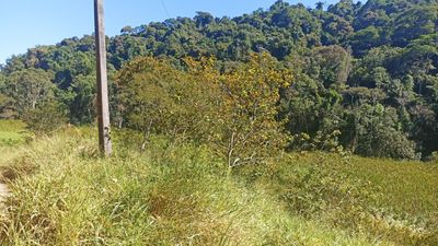 Sítio, 1 quarto, 200 m² - Foto 2