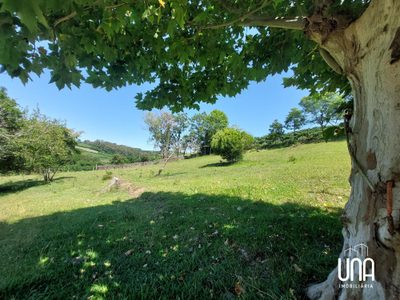 Chácara, 2 hectares - Foto 3