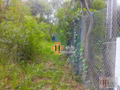 Terreno, 16 hectares - Foto 3