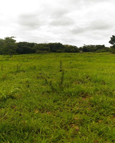 Sítio, 2 quartos, 2 hectares - Foto 4