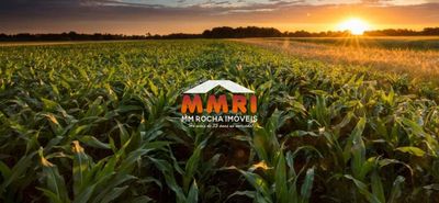 Fazenda, 2 hectares - Foto 4