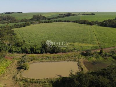 Sítio, 12 hectares - Foto 3