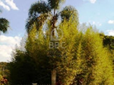 Chácara, 3 quartos, 10000 m² - Foto 3