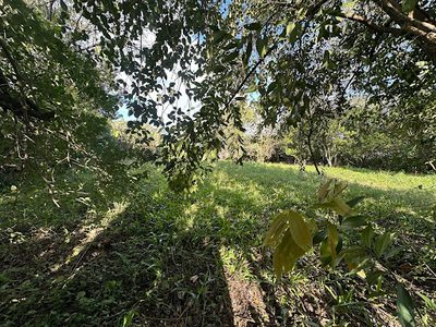 Terreno, 780 m² - Foto 2