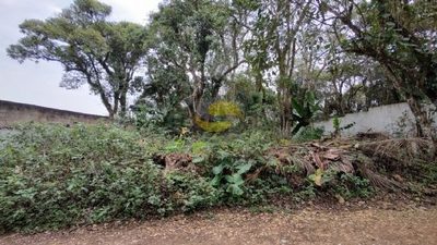 Terreno, 1000 m² - Foto 5