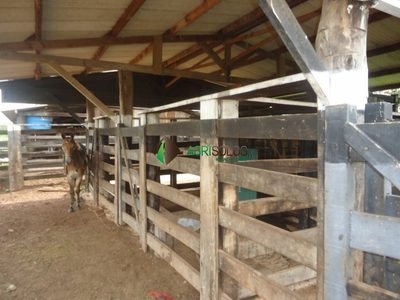 Terreno, 8800 m² - Foto 2