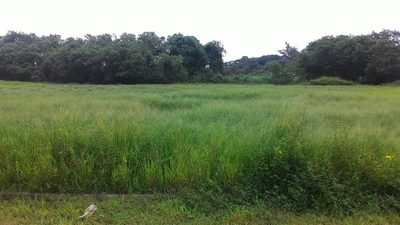Terreno, 340 m² - Foto 3