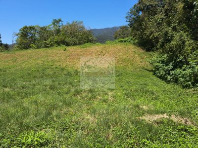 Terreno, 300 m² - Foto 5