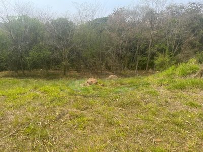 Terreno, 263 m² - Foto 4