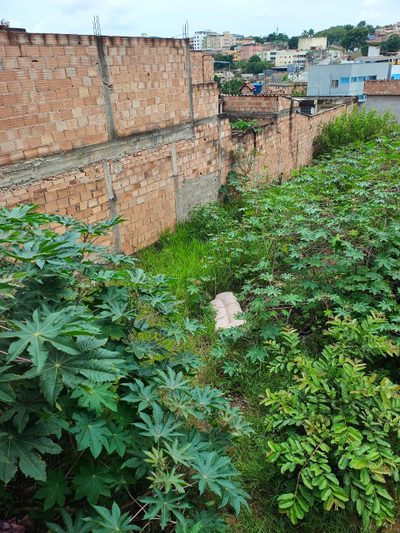 Terreno, 360 m² - Foto 4