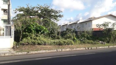 Terreno, 1000 m² - Foto 2