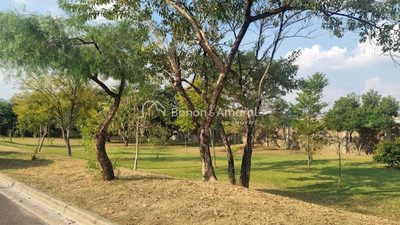 Terreno, 12 m² - Foto 5