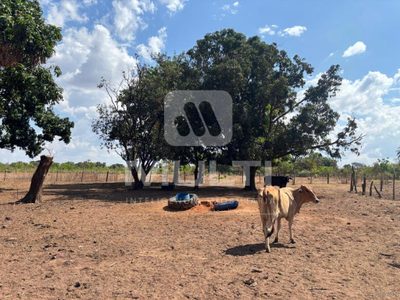 Chácara, 1 quarto - Foto 2