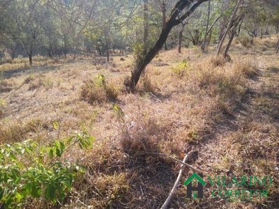 Sítio, 1 quarto, 11 hectares - Foto 4