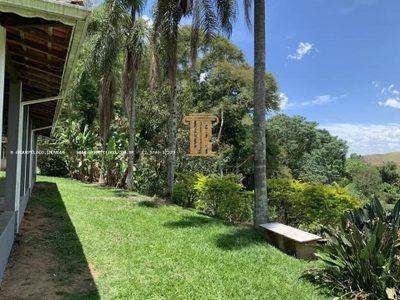 Sítio, 4 quartos, 5000 m² - Foto 4