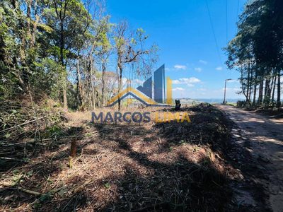 Terreno, 2 hectares - Foto 2