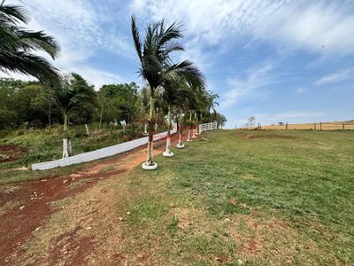 Chácara, 3 quartos, 3600 m² - Foto 4