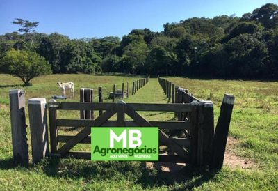 Fazenda, 200 m² - Foto 5
