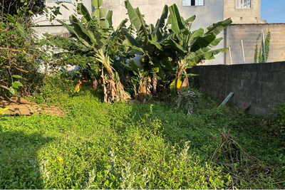 Terreno - Foto 4