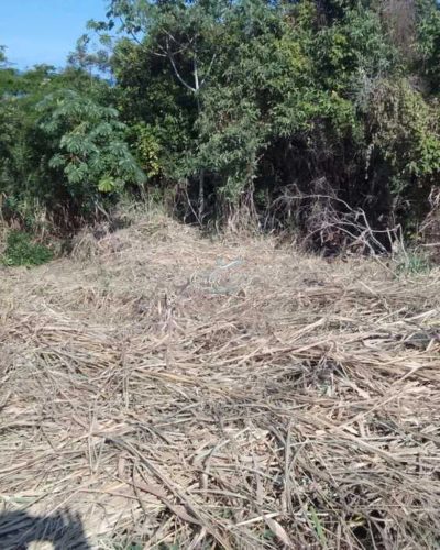 Terreno, 450 m² - Foto 3
