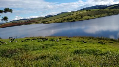 Chácara, 1 quarto, 109 hectares - Foto 4