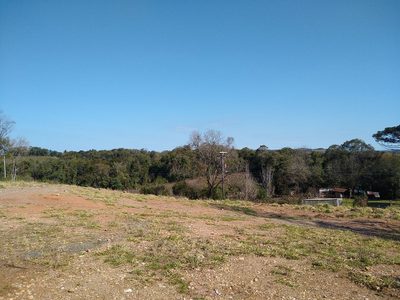 Chácara, 1 hectares - Foto 4