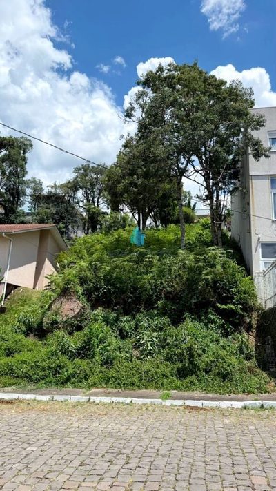 Terreno, 483 m² - Foto 4