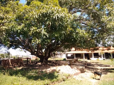 Chácara, 4 quartos, 4160 m² - Foto 5