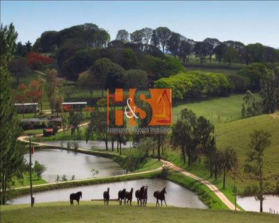 Fazenda, 8 quartos - Foto 2