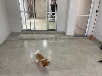 Sobrado, 4 quartos, 140 m² - Foto 2