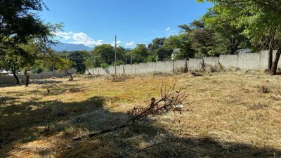 Terreno, 5000 m² - Foto 3